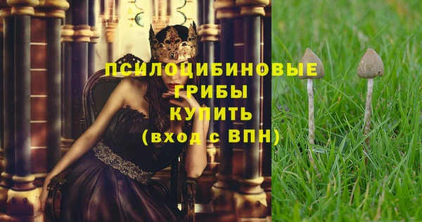 спайс Алзамай