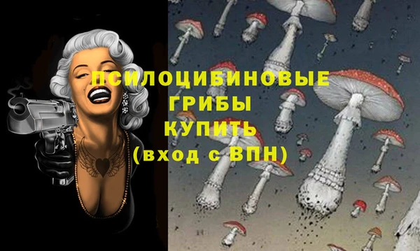 не бодяженный Алексин