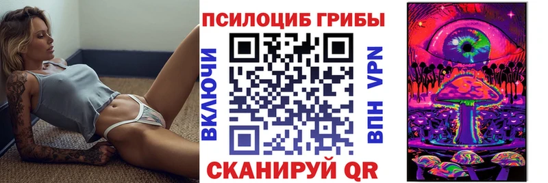 Псилоцибиновые грибы Psilocybe  купить  сайты  Цимлянск 